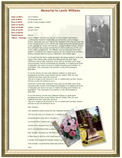 Example of Ulster Ancestry Memorial ...